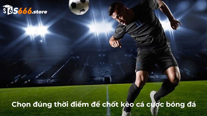 Thời điểm là yếu tố quan trọng cược thủ cần lưu tâm khi soi kèo World Cup