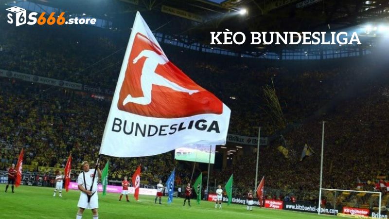 Bundesliga là kèo bóng đá có sức hút rất lớn với hàng triệu cược thủ tham gia