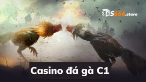 Đá gà C1 Casino 